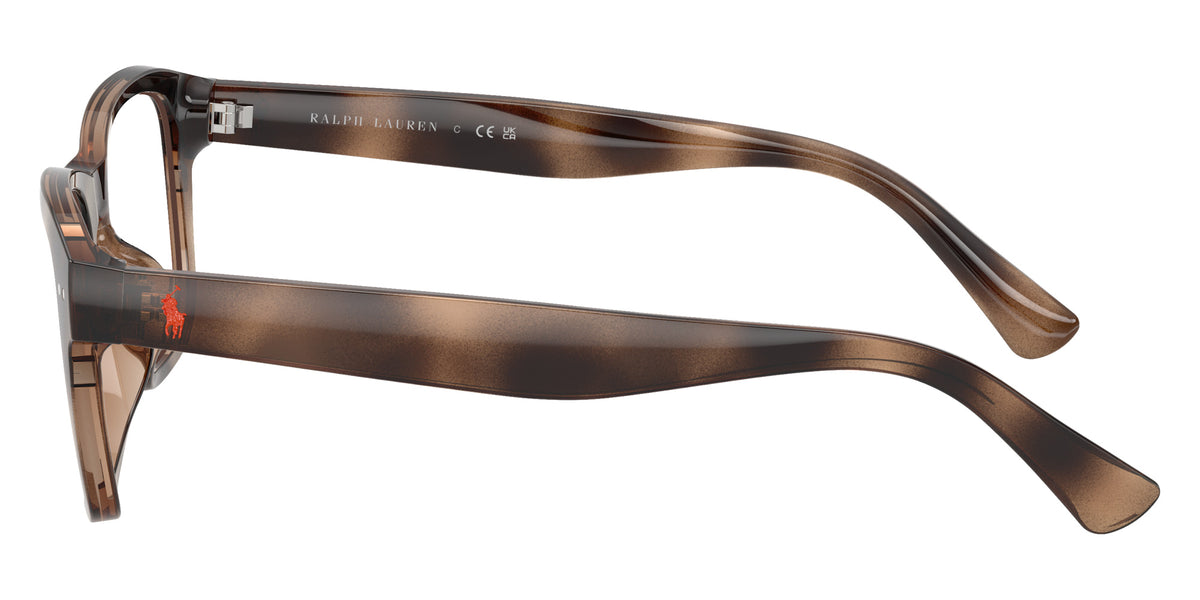 POLO RALPH LAUREN PH4254U 500373 53 - Shiny Dark Havana / Brown #id:ph4254u500373_s:102110