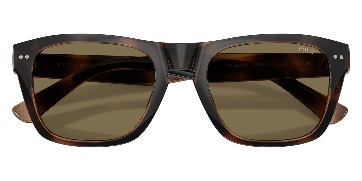 POLO RALPH LAUREN PH4254U 500373 53 - Shiny Dark Havana / Brown #id:ph4254u500373_s:102120