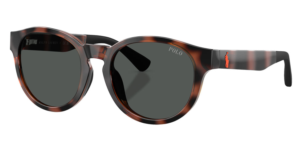 POLO RALPH LAUREN PP9512U 597487 45 - Shiny Havana #id:pp9512u597487_s:102105