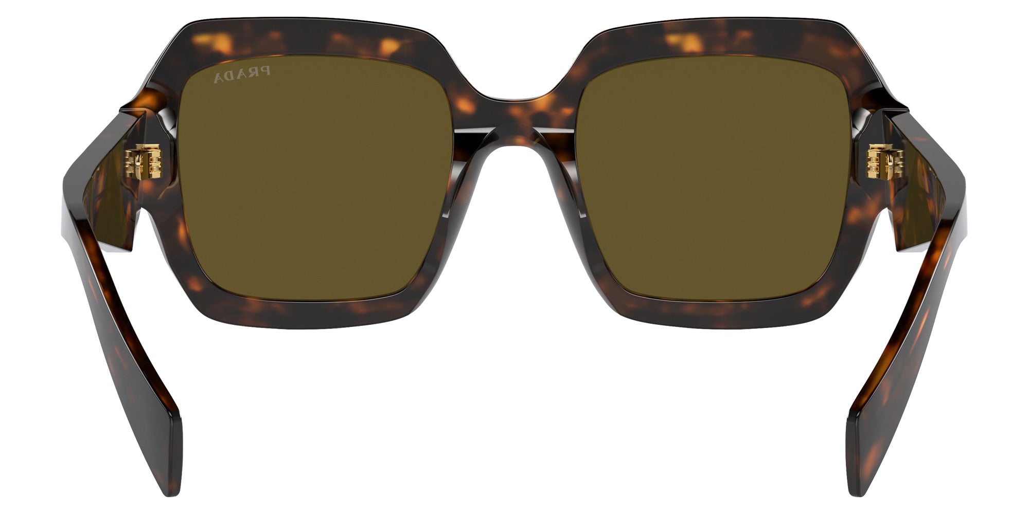 Prada PR 28ZSF 14L09Z 54 - Sage/Honey Tortoise / Dark Brown #id:pr28zsf14l09z_s:100115