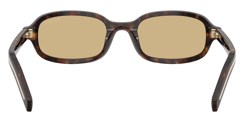 Prada PR D06S 17N70R 50 - Root Tortoise #id:prd06s17n70r_s:104115