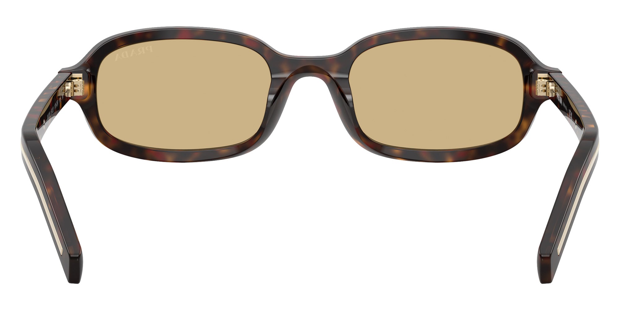 Prada PR D06S 17N70R 50 - Root Tortoise #id:prd06s17n70r_s:104115