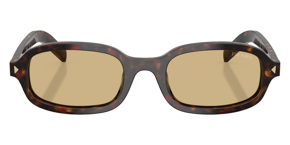 Prada PR D06S 17N70R 50 - Root Tortoise #id:prd06s17n70r_s:104100