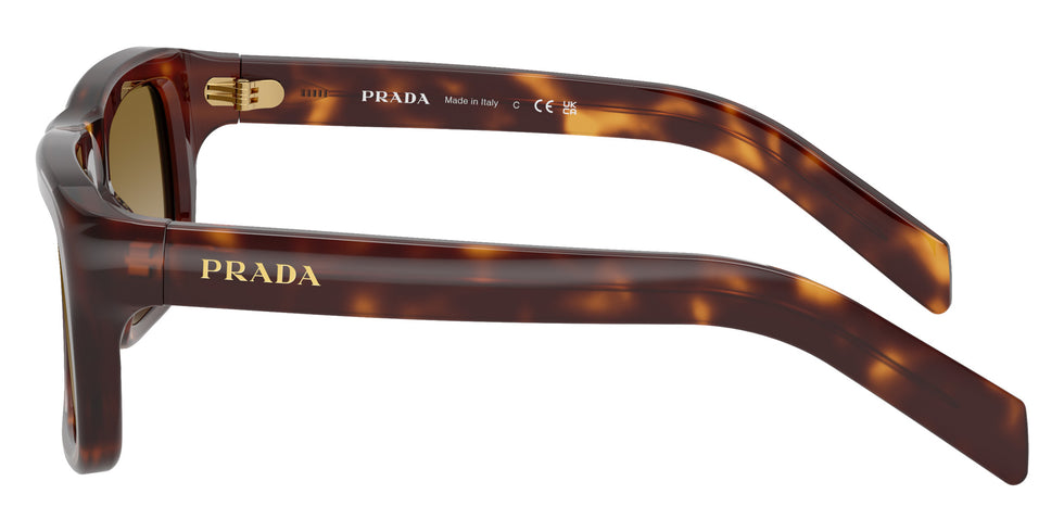 Prada PR D11S 15W20U 54 - Classic Tortoise #id:prd11s15w20u_s:100110