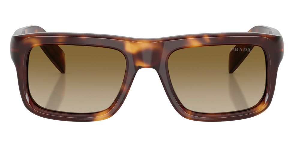 Prada PR D11S 15W20U 54 - Classic Tortoise #id:prd11s15w20u_s:100100