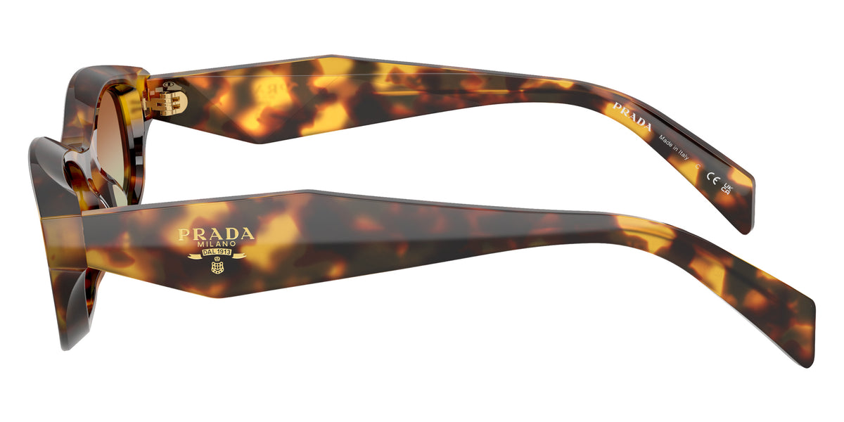 Prada PR D24S 14L70T 54 - Honey Tortoise / Green/Brown #id:prd24s14l70t_s:102110