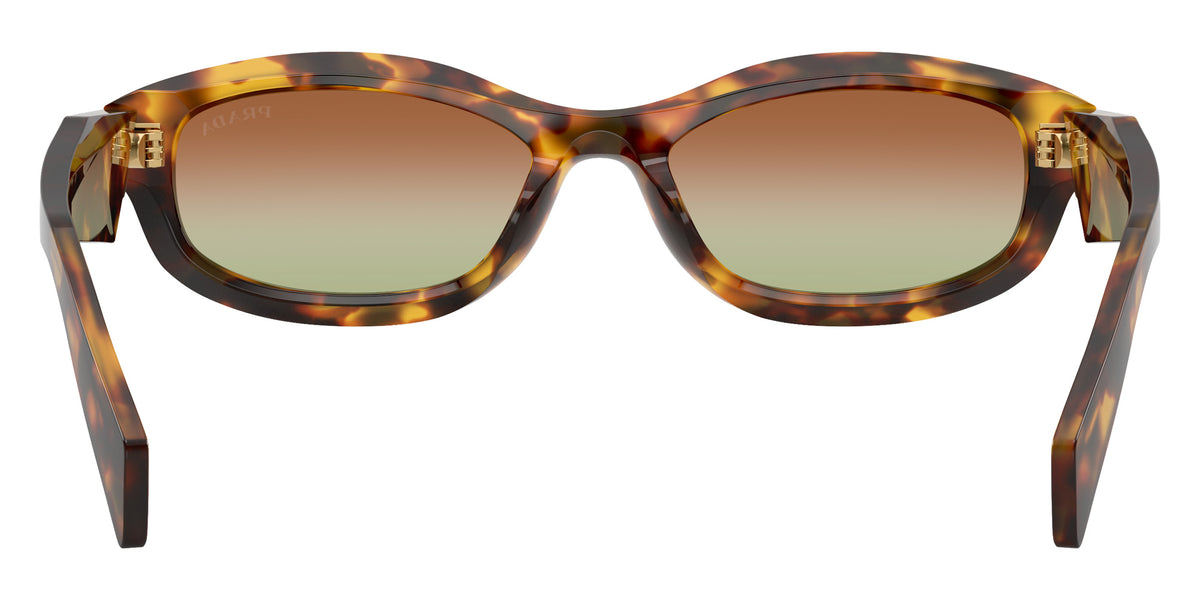 Prada PR D24SF 14L70T 55 - Honey Tortoise / Green/Brown #id:prd24sf14l70t_s:102115