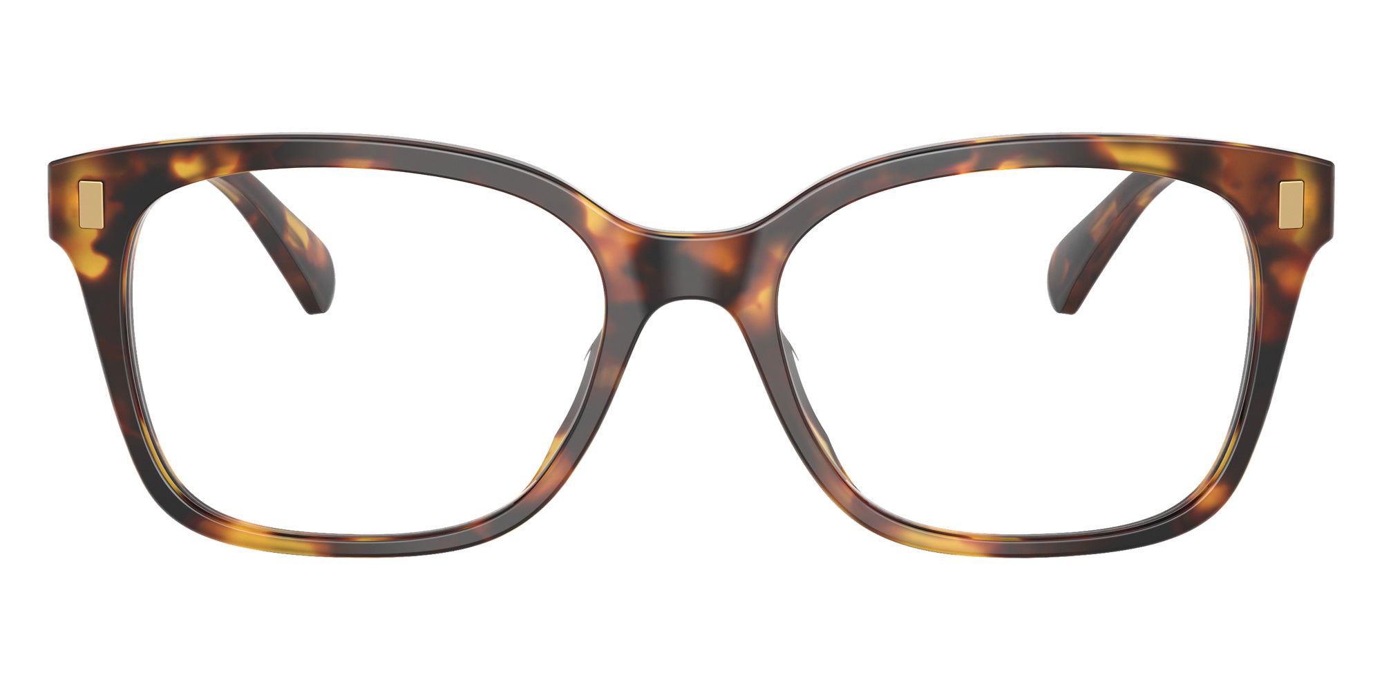 RALPH LAUREN RA7174U 5134 53 - Shiny Honey Havana #id:ra7174u5134_s:104100