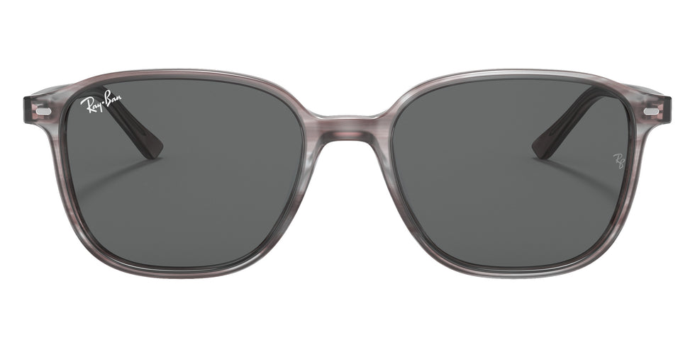 Ray-Ban RB2193 Leonard 1314B1 53 - Striped Gray / Dark Gray #id:rb21931314b1_s:100100