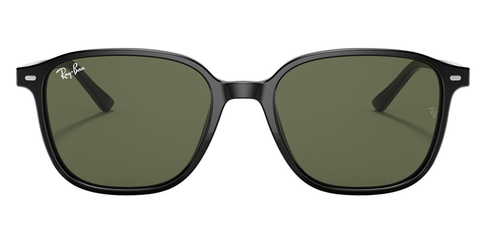 Ray-Ban RB2193 Leonard 901/31 51 - Black / G-15 Green #id:rb219390131_s:108100