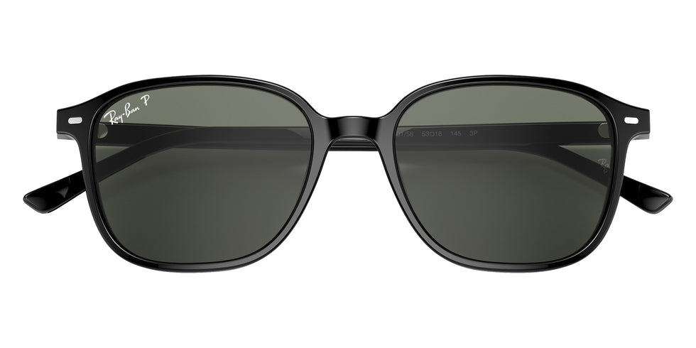 Ray-Ban RB2193 Leonard 901/58 51 - Black #id:rb219390158_s:102125