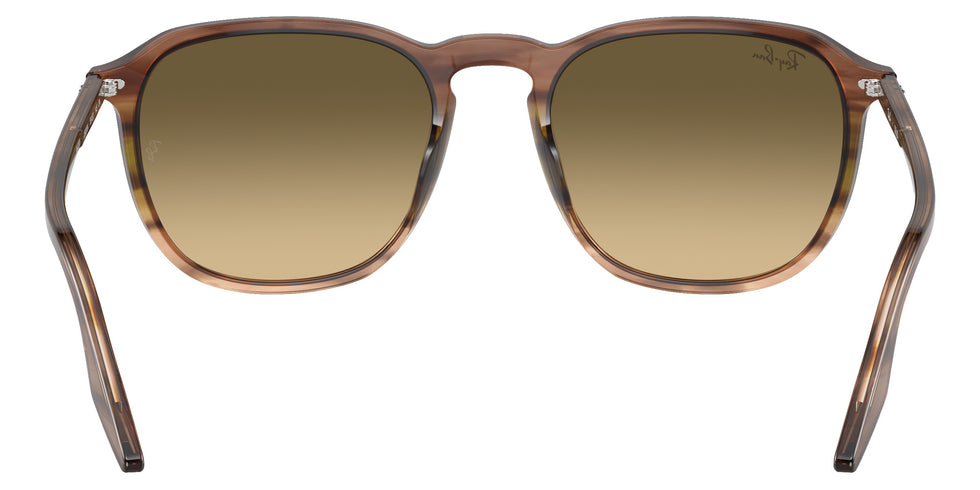 Ray-Ban RB2203 13920A 55 - Striped Brown & Green / Brown Black #id:rb220313920a_s:100115