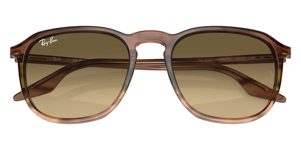 Ray-Ban RB2203 13920A 55 - Striped Brown & Green / Brown Black #id:rb220313920a_s:100125