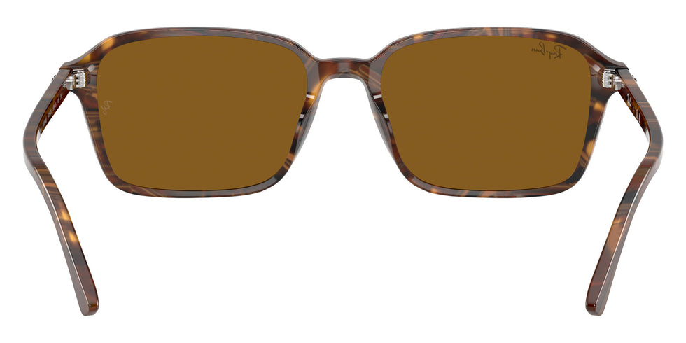 Ray-Ban RB2231F Raimond 141833 56 - Transparent Fantasy Brown #id:rb2231f141833_s:100115