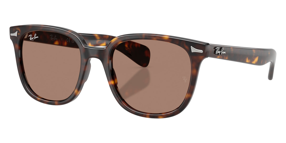 Ray-Ban RB2235F Brunel II 902/1A 53 - Havana / Light Violet #id:rb2235f9021a_s:104105