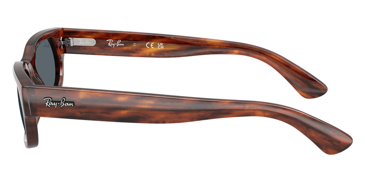 Ray-Ban RB2236F 954/R5 54 - Striped Havana / Blue #id:rb2236f954r5_s:108110
