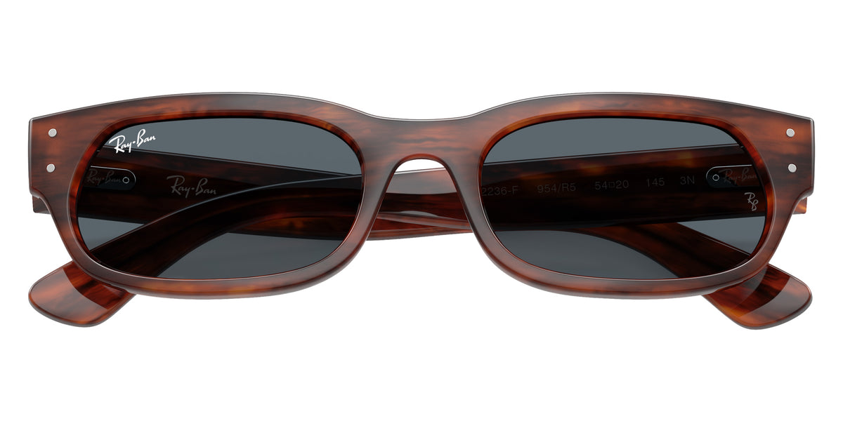 Ray-Ban RB2236F 954/R5 54 - Striped Havana / Blue #id:rb2236f954r5_s:108125
