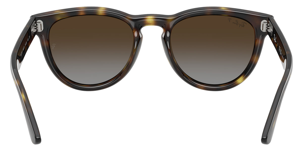 Ray-Ban RB2237 710/T5 51 - Havana / Polarized Light Gray Gradient Brown #id:rb2237710t5_s:108115