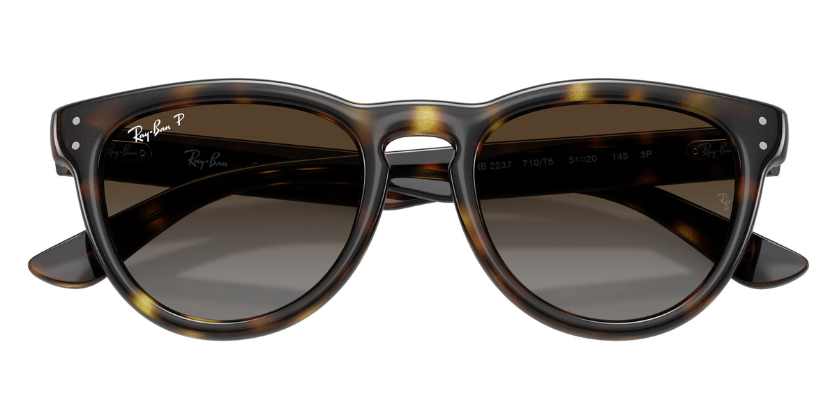 Ray-Ban RB2237 710/T5 51 - Havana / Polarized Light Gray Gradient Brown #id:rb2237710t5_s:108125