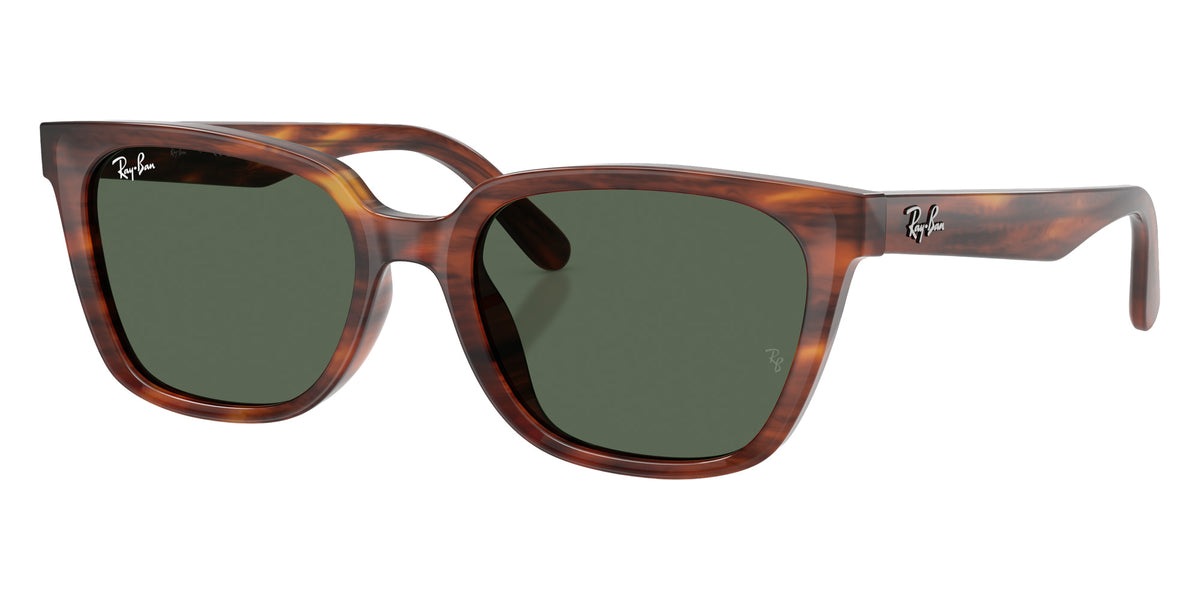 Ray-Ban RB2243D 954/71 55 - Striped Havana / Dark Green #id:rb2243d95471_s:108105