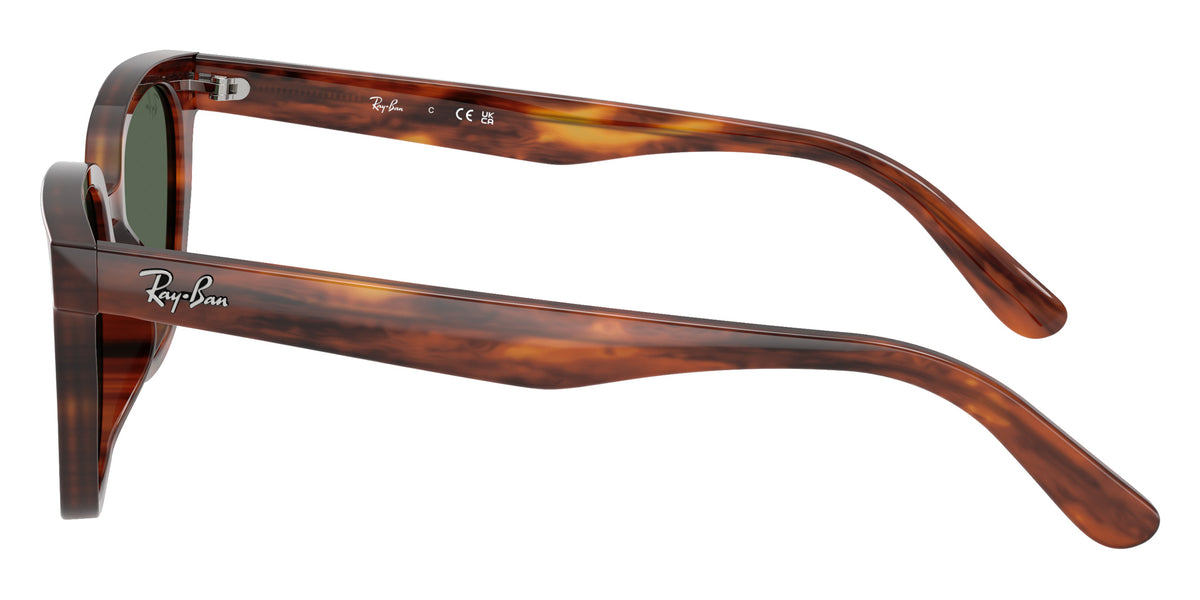 Ray-Ban RB2243D 954/71 55 - Striped Havana / Dark Green #id:rb2243d95471_s:108110