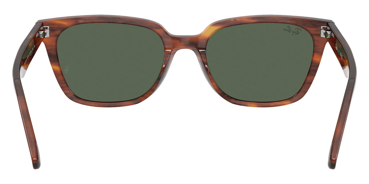 Ray-Ban RB2243D 954/71 55 - Striped Havana / Dark Green #id:rb2243d95471_s:108115