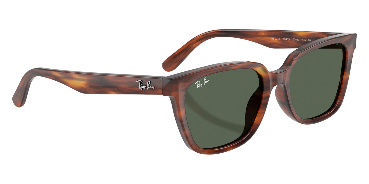 Ray-Ban RB2243D 954/71 55 - Striped Havana / Dark Green #id:rb2243d95471_s:108120