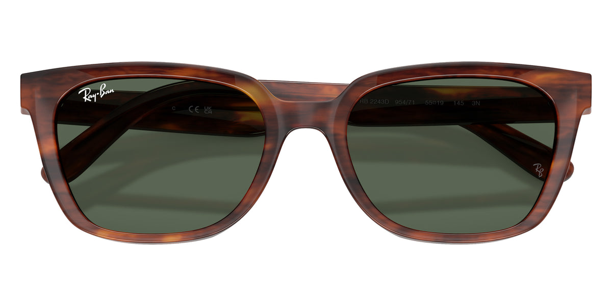 Ray-Ban RB2243D 954/71 55 - Striped Havana / Dark Green #id:rb2243d95471_s:108125