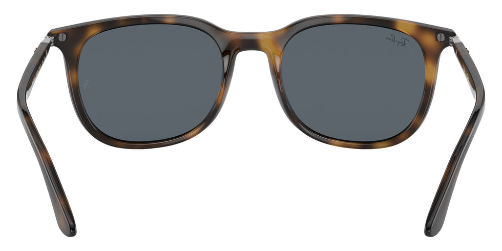 Ray-Ban RB4386F 710/R5 55 - Havana #id:rb4386f710r5_s:100115