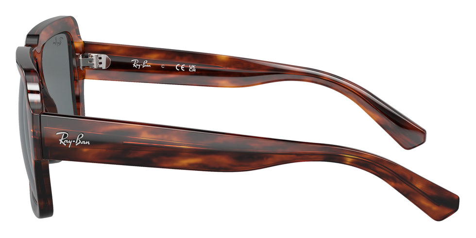 Ray-Ban RB4408 Magellan 139880 54 - Striped Havana / Dark Blue #id:rb4408139880_s:100110