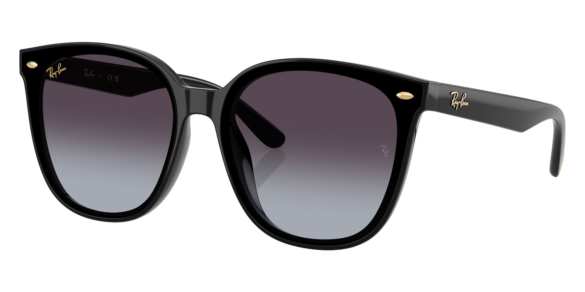 Ray-Ban RB4423D Year Of The Snake Edition 68078G 66 - Black / Gray Gradient #id:rb4423d68078g_s:100105