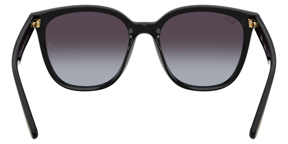 Ray-Ban RB4423D Year Of The Snake Edition 68078G 66 - Black / Gray Gradient #id:rb4423d68078g_s:100115