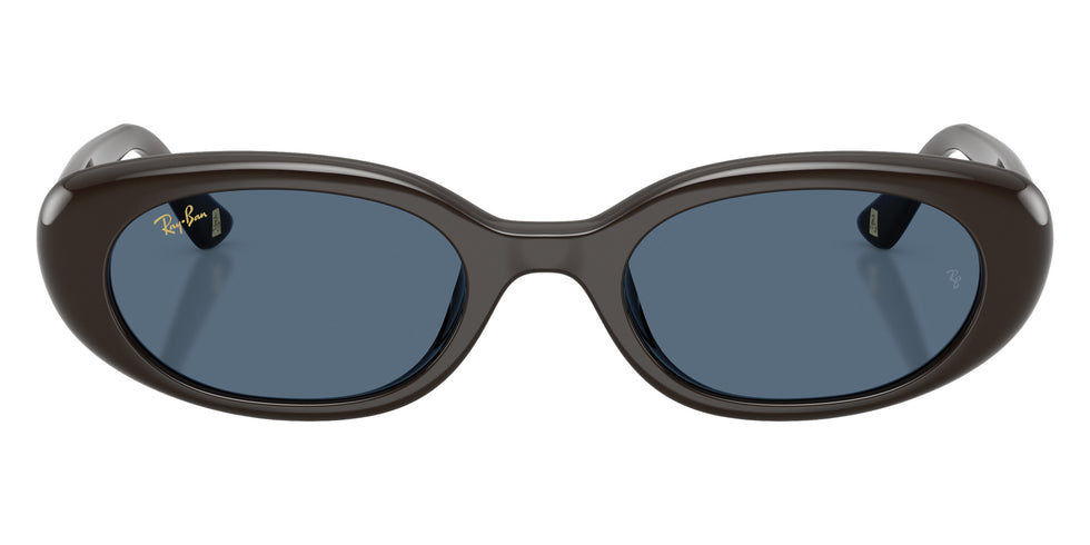 Ray-Ban RB4441D Year Of The Horse Edition 686880 53 - Full Dark Brown #id:rb4441d686880_s:100100