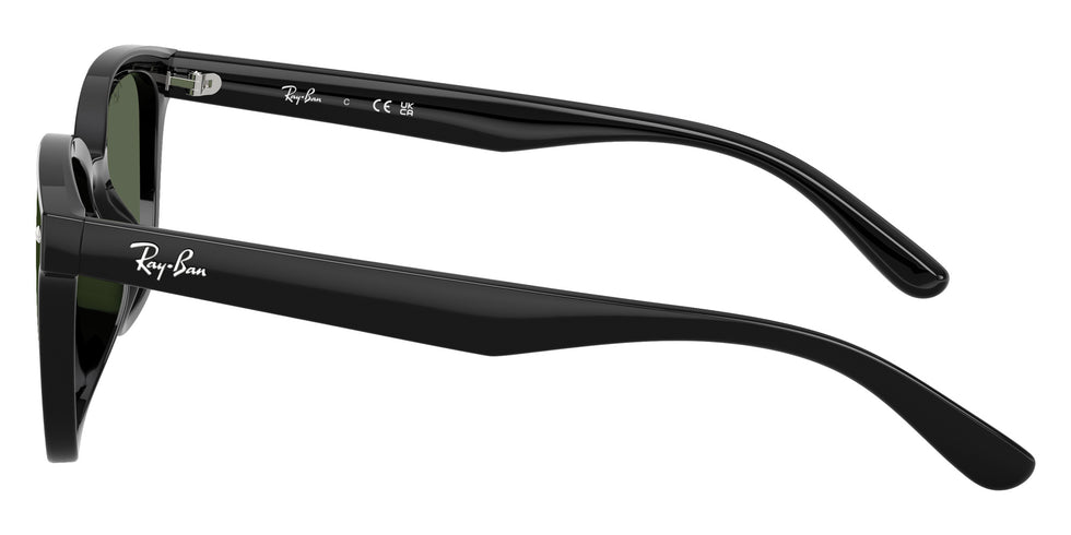 Ray-Ban RB4461D 601/71 64 - Black #id:rb4461d60171_s:100110
