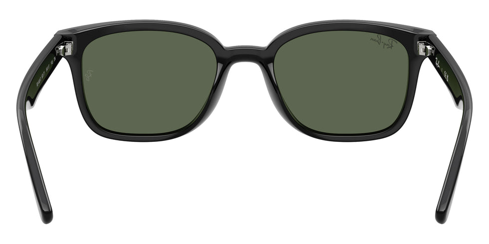 Ray-Ban RB4461D 601/71 64 - Black #id:rb4461d60171_s:100115