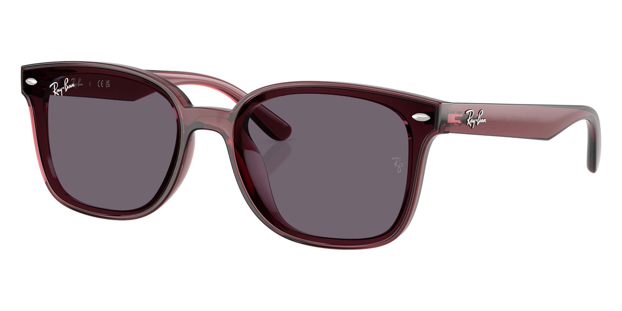 Ray-Ban RB4461D 659373 64 - Transparent Dark Brown / Violet #id:rb4461d659373_s:100105