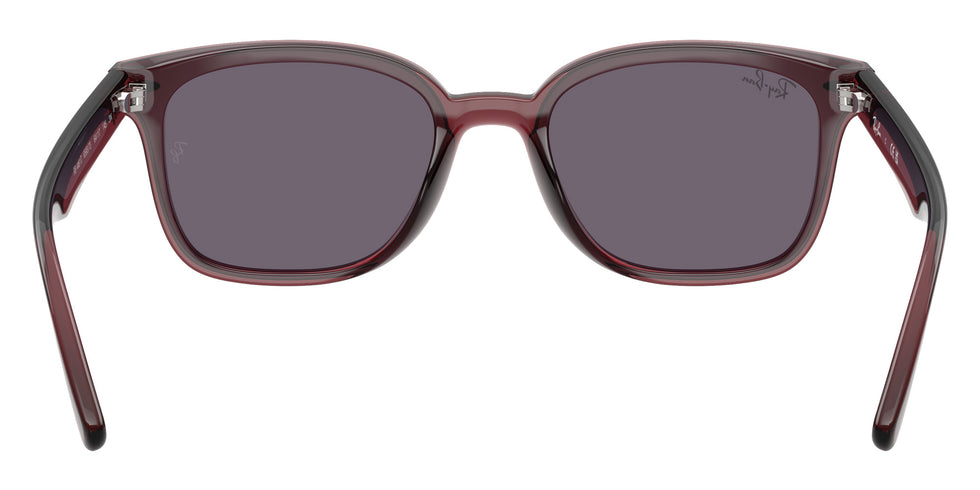 Ray-Ban RB4461D 659373 64 - Transparent Dark Brown / Violet #id:rb4461d659373_s:100115