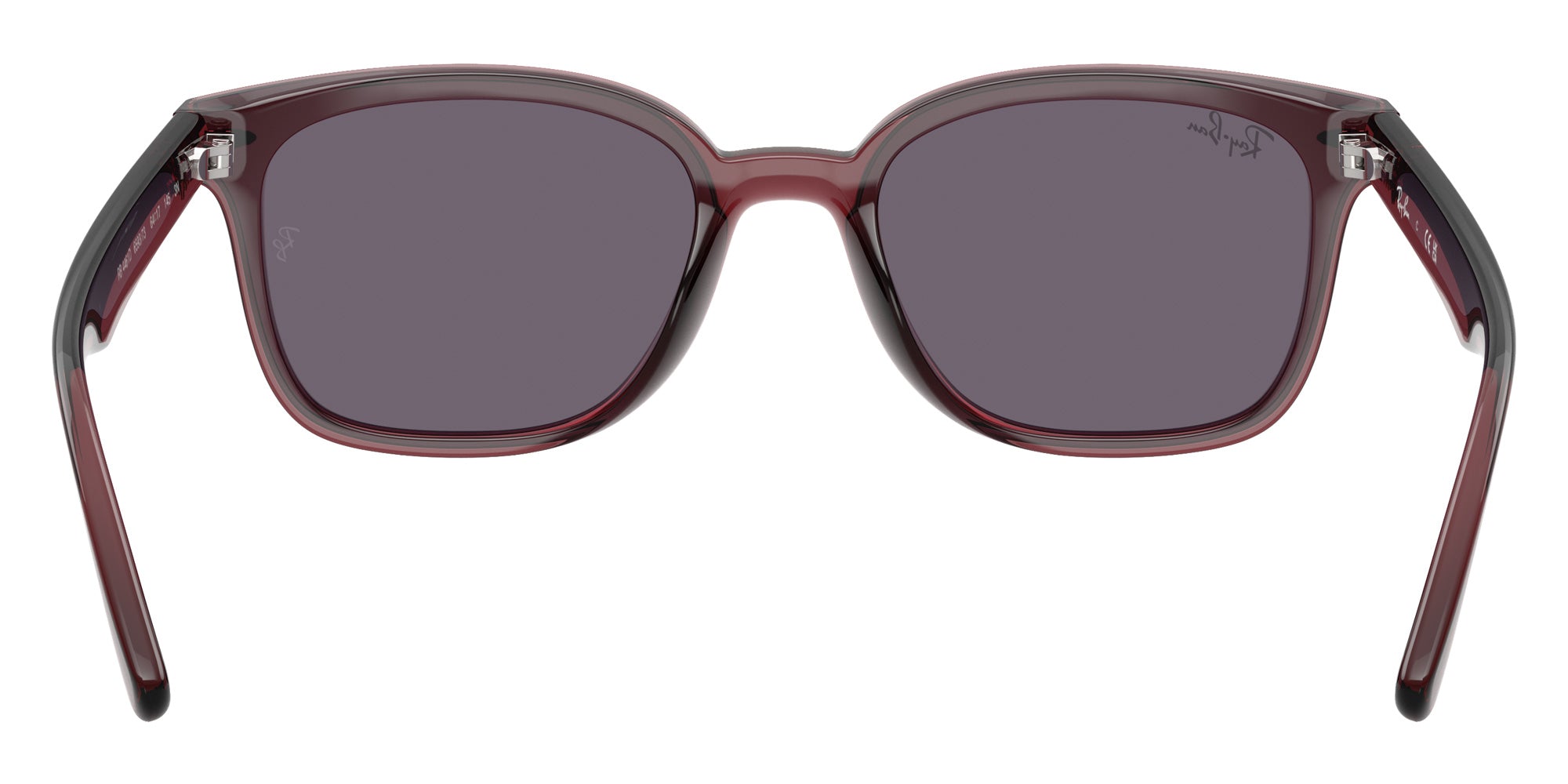 Ray-Ban RB4461D 659373 64 - Transparent Dark Brown / Violet #id:rb4461d659373_s:100115