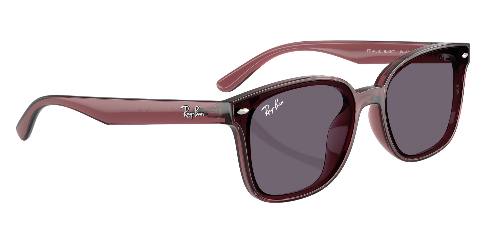 Ray-Ban RB4461D 659373 64 - Transparent Dark Brown / Violet #id:rb4461d659373_s:100120