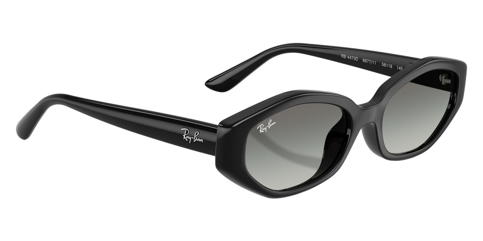 Ray-Ban RB4473D 667711 56 - Black #id:rb4473d667711_s:100120