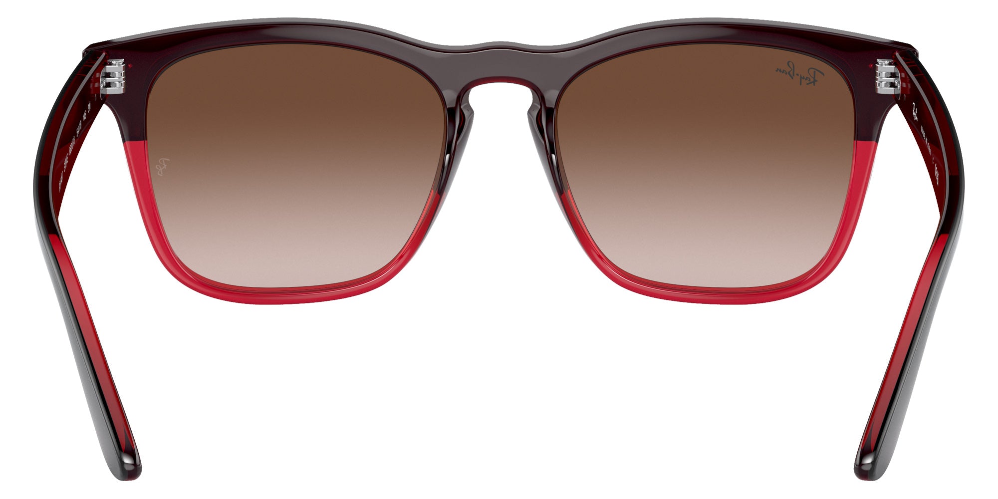 Ray-Ban RB4487 Steve 663113 54 - Gray On Transparent Red / Brown #id:rb4487663113_s:100115