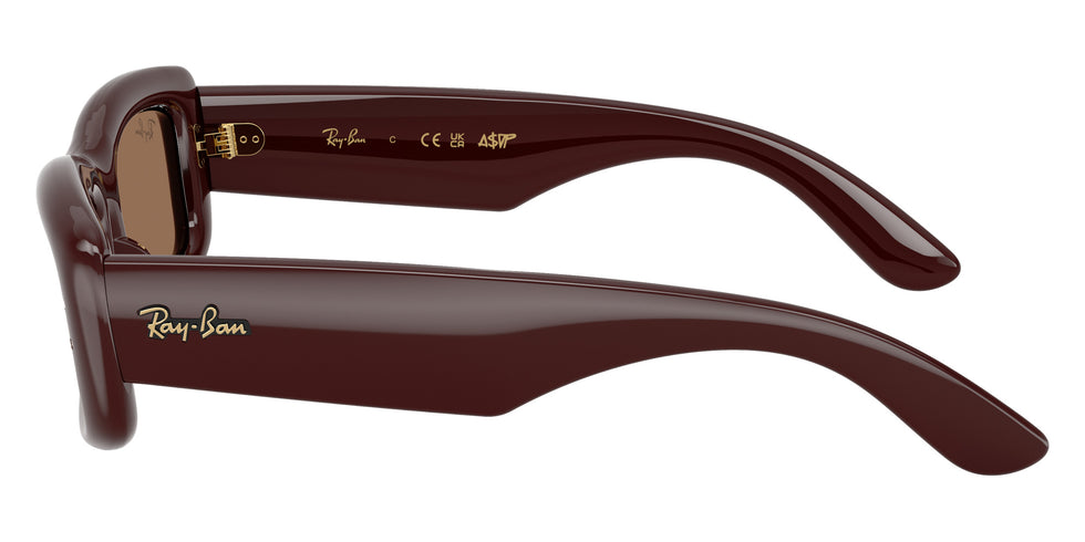 Ray-Ban RB4944 Kiliane Puffer 687773 55 - Transparent Dark Brown / Dark Brown #id:rb4944687773_s:104110