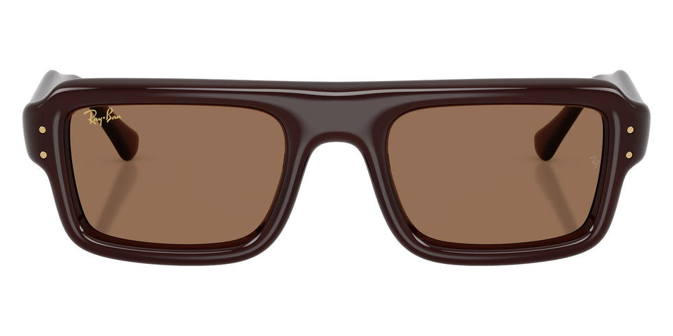 Ray-Ban RB4954 Flacko Puffer 689673 52 - Transparent Dark Brown / Dark Brown #id:rb4954689673_s:114100
