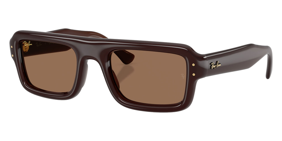 Ray-Ban RB4954 Flacko Puffer 689673 52 - Transparent Dark Brown / Dark Brown #id:rb4954689673_s:114105