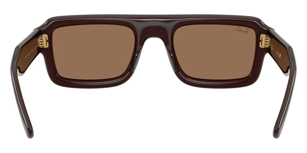 Ray-Ban RB4954 Flacko Puffer 689673 52 - Transparent Dark Brown / Dark Brown #id:rb4954689673_s:114115