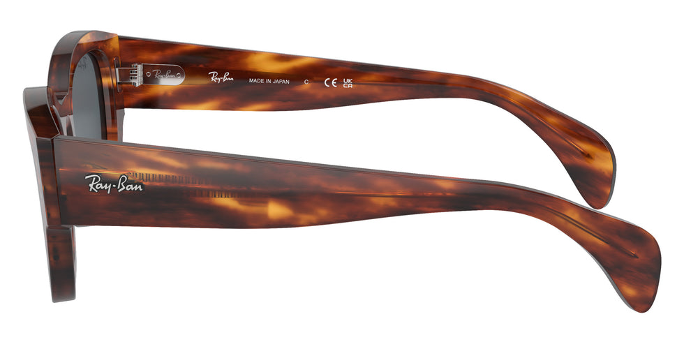 Ray-Ban RB7681S Jorge 954/R5 52 - Striped Havana #id:rb7681s954r5_s:100110