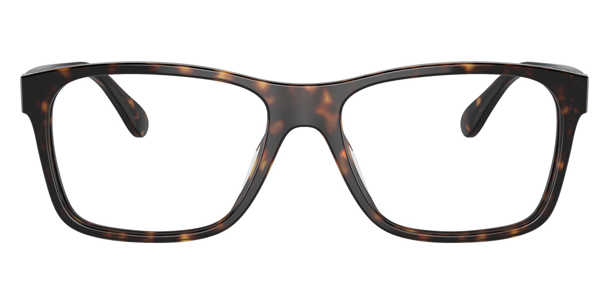 RALPH LAUREN RL6240U 5003 56 - Havana #id:rl6240u5003_s:100100