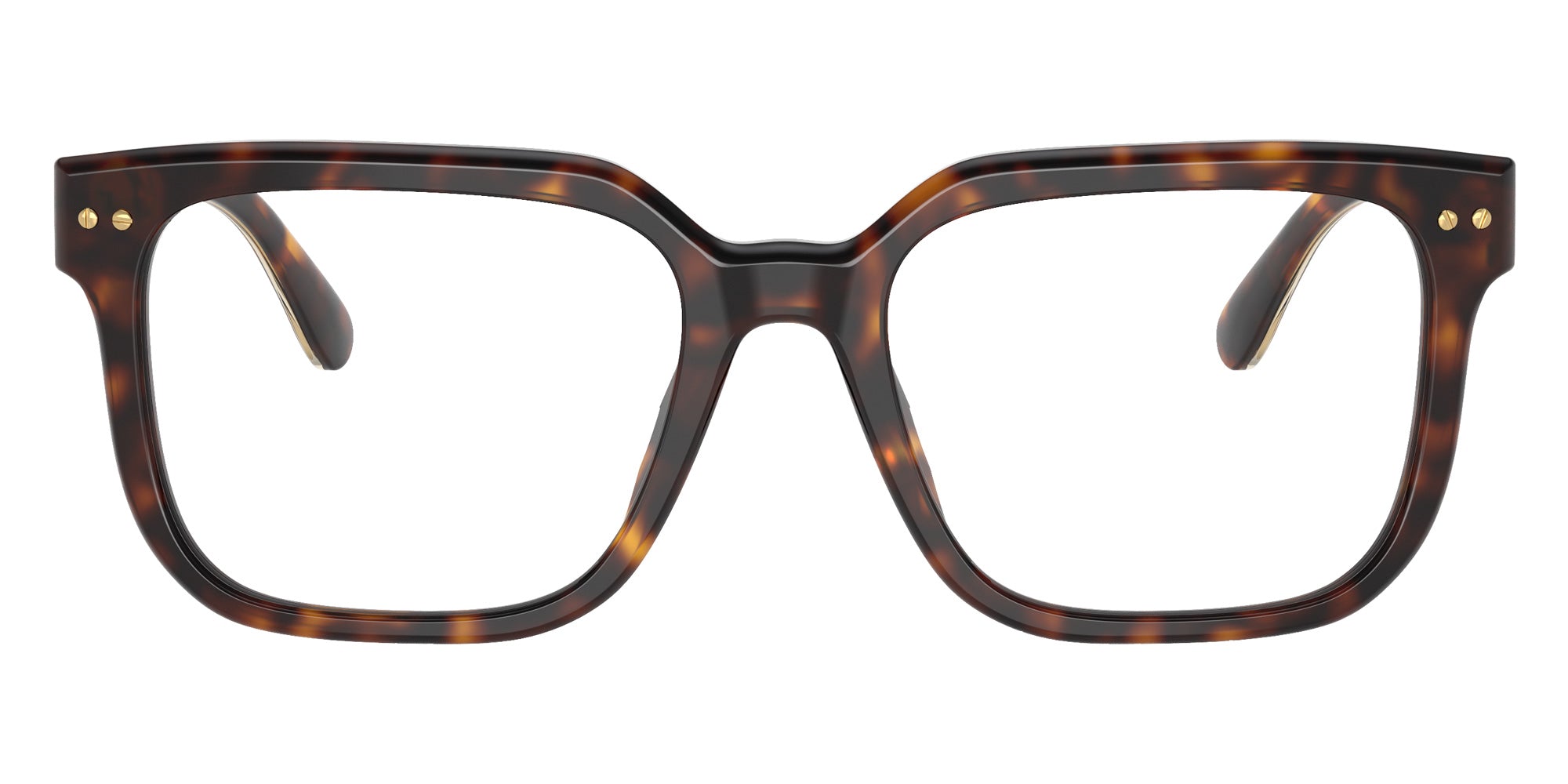 RALPH LAUREN RL6249U 5003 53 - Dark Havana #id:rl6249u5003_s:100100