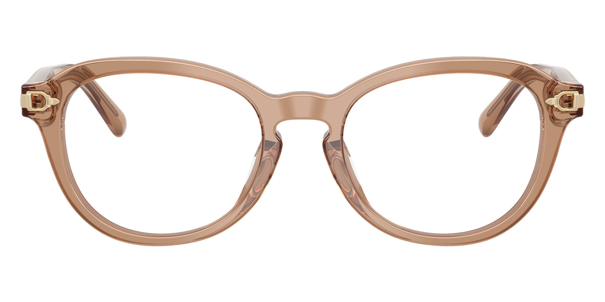 RALPH LAUREN RL6267U 6377 50 - Transparent Dusty Brown #id:rl6267u6377_s:106100