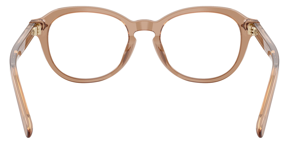 RALPH LAUREN RL6267U 6377 50 - Transparent Dusty Brown #id:rl6267u6377_s:106115